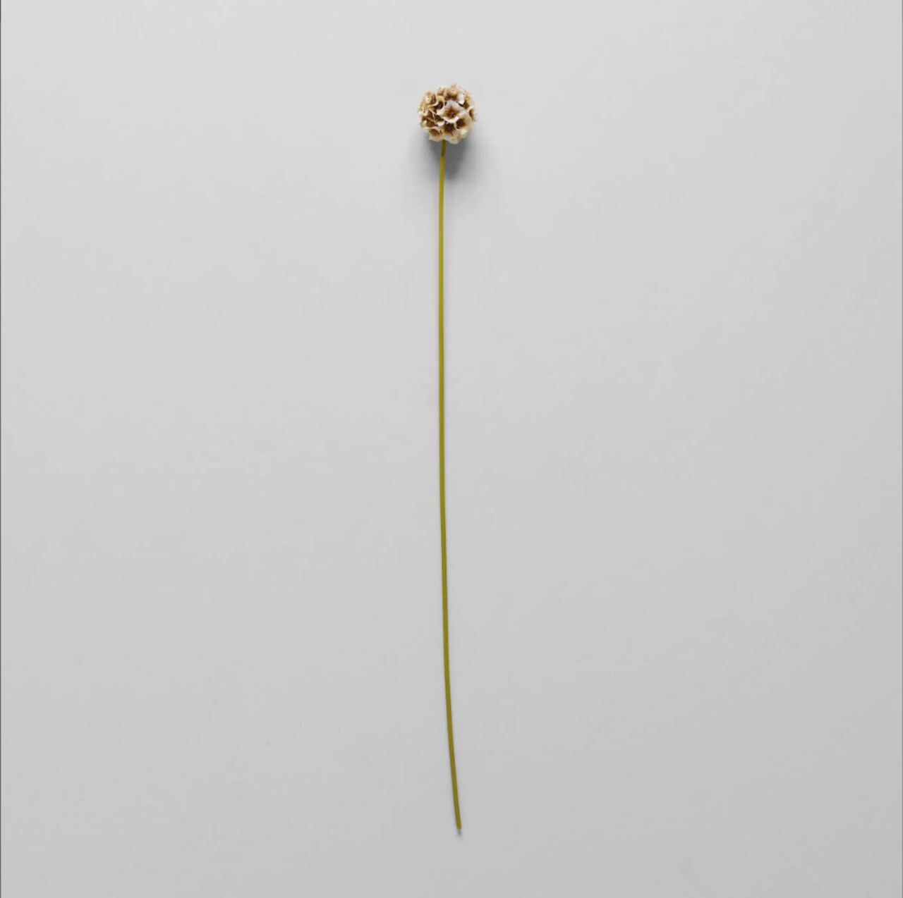 Summer EcoFaux Scabiosa Pincushion Artificial Flower by Bloomist